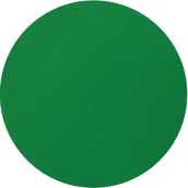 A color sample of a green powder coat custom color option
